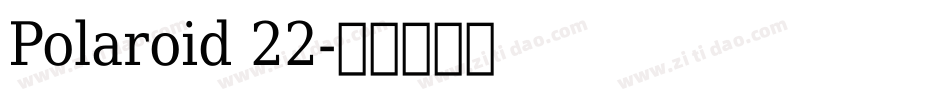 Polaroid 22字体转换